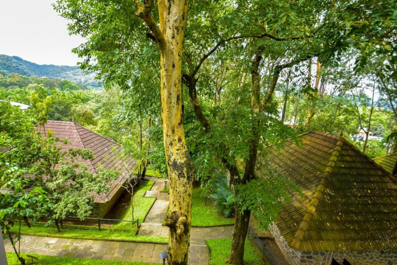 Hotel Treetop Thekkady Bagian luar foto