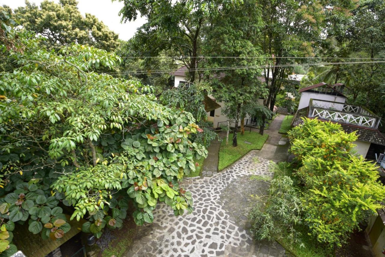 Hotel Treetop Thekkady Bagian luar foto